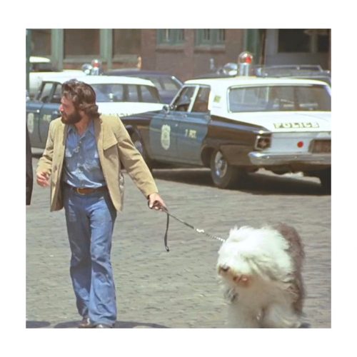 Estilismos Serpico Al Pacino