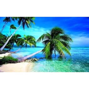 Franky Claeys Raf Simons ss 98 graphics designer Franky Claeys Raf Simons ss 98 graphics designer